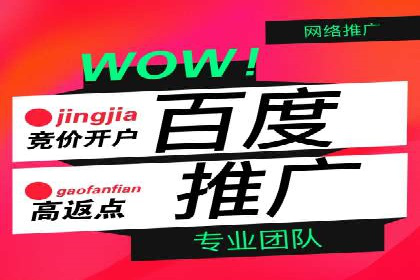 百度竞价推广案例：行业领军者成长故事
